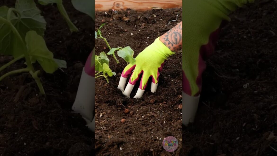 ⚡️ Supercharge Your Garden! Time-Saving Hacks for Busy Growers! 🌳