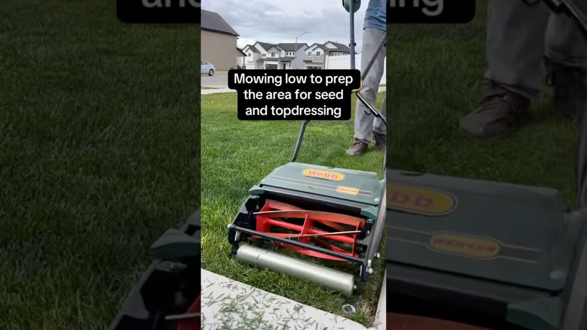 How I Fix Patchy Lawn Spots – Silica, Seed & Leveling Tips