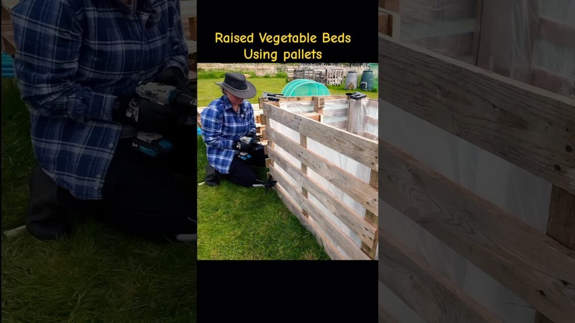 DIY Pallet Vegetable Beds, Easy and Budget Friendly