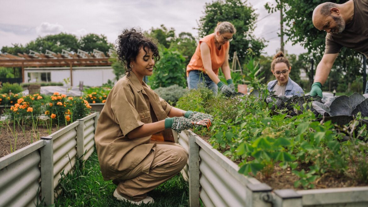 Four cash-saving tips to sort out your garden by getting involved in your local community