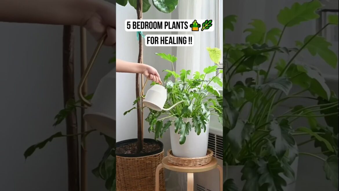 5 Magic Bedroom Plants That Heal You While You Sleep! 🌿✨ #interiordesign #homedecor