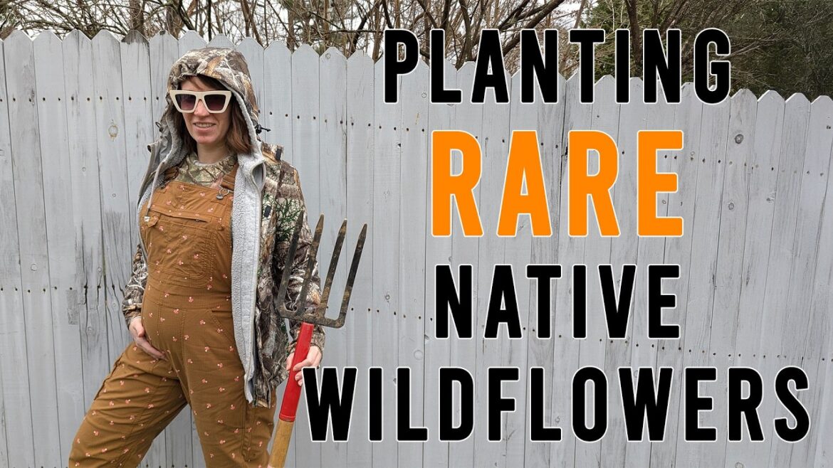 How to Increase Biodiversity on your Homestead