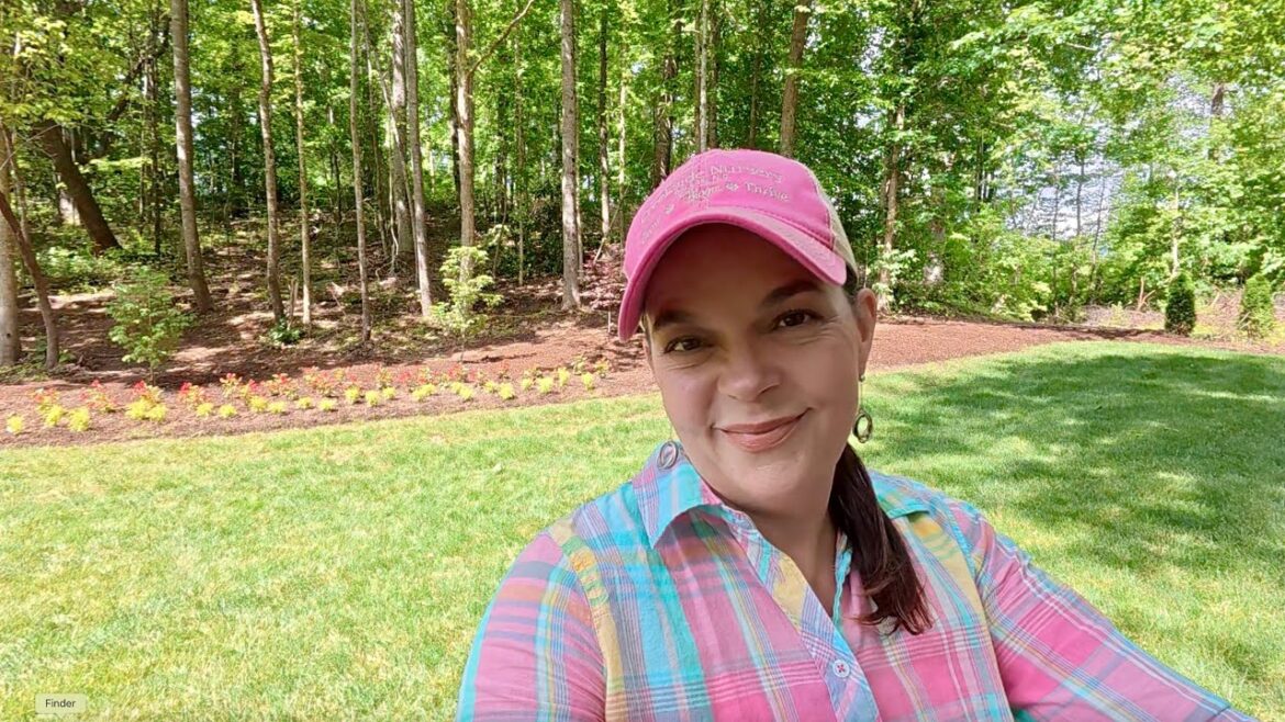 My Favorite Annuals for Sun or Shade, Garden Tour, & a Surprise Visitor