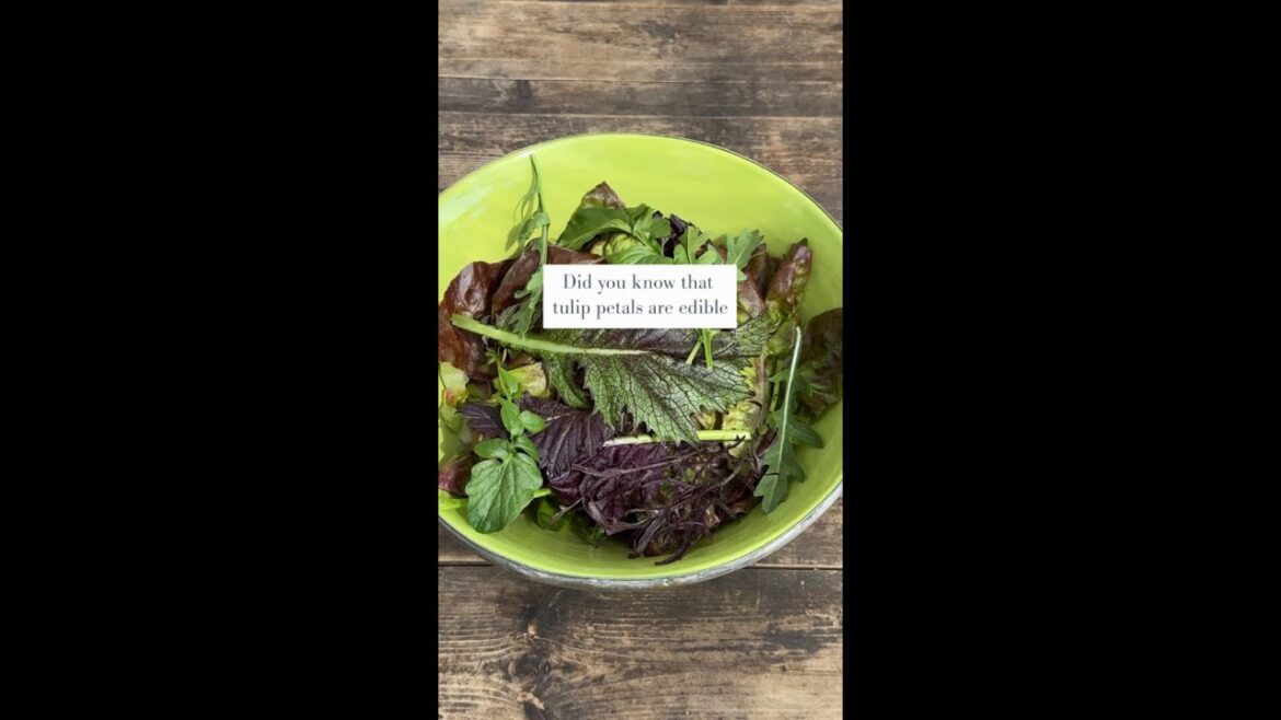 Did you know tulip petals are actually edible? Did you know tulip petals are actually edible?