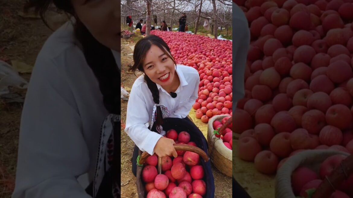 Relaxing natural beauty of fruit harvesting 🍎🍐🍍🍉 #shorts #fruit #nature