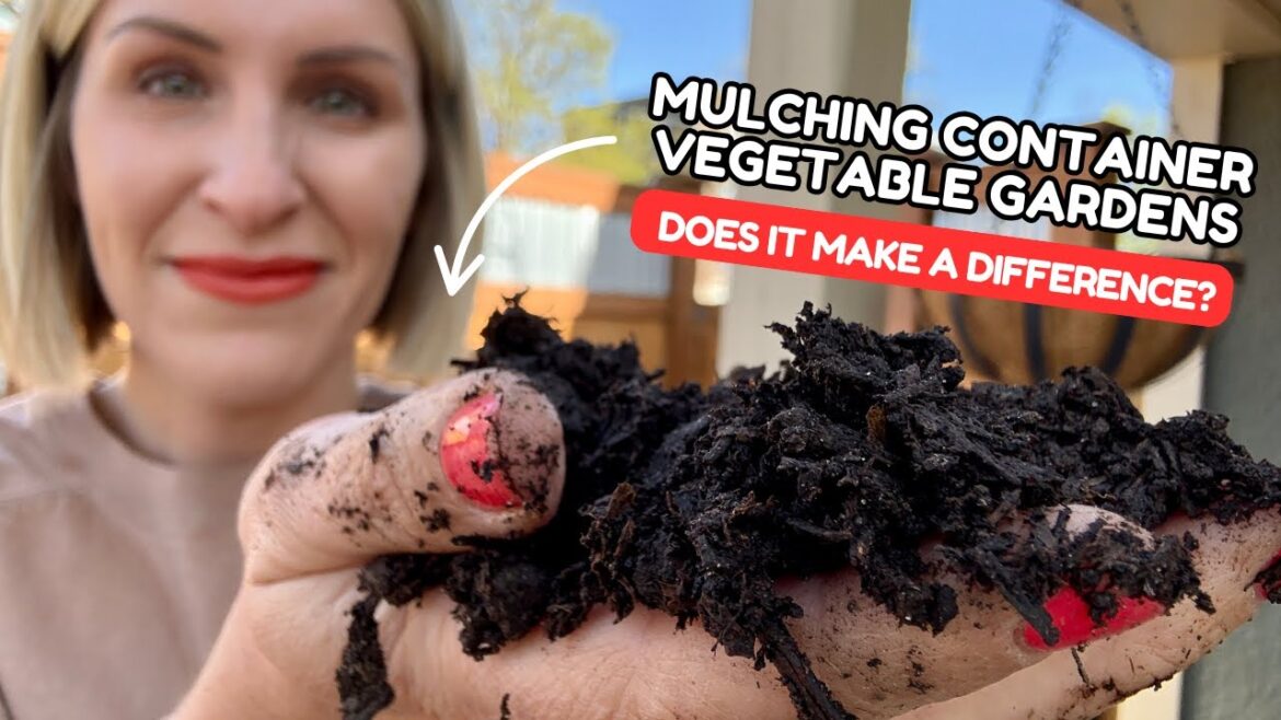 Should You Mulch Your Container Vegetable Garden?