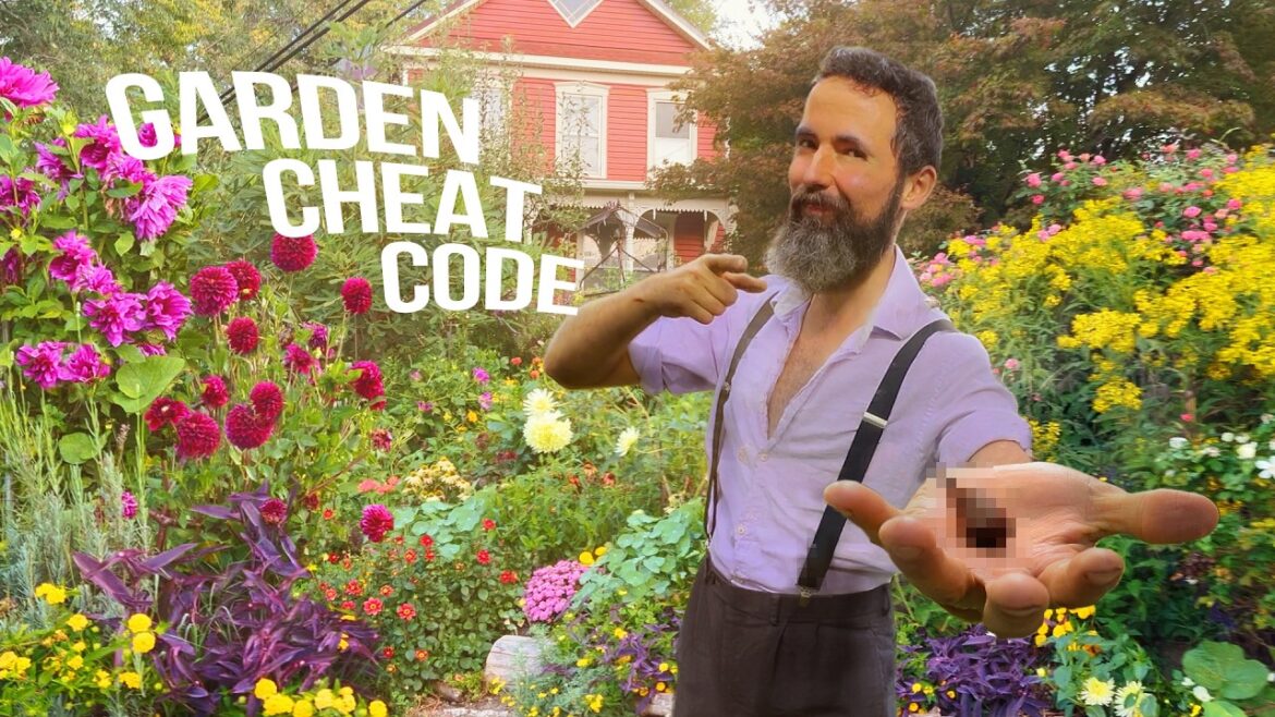 Siloé Oliveira: My biggest secret for an EASY BEAUTIFUL garden My biggest secret for an EASY BEAUTIFUL garden