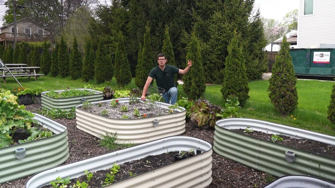 MIgardener: 3 Easy Ways to Turn Your Garden PASSION Into A Profitable Side Hustle 3 Easy Ways to Turn Your Garden PASSION Into A Profitable Side Hustle