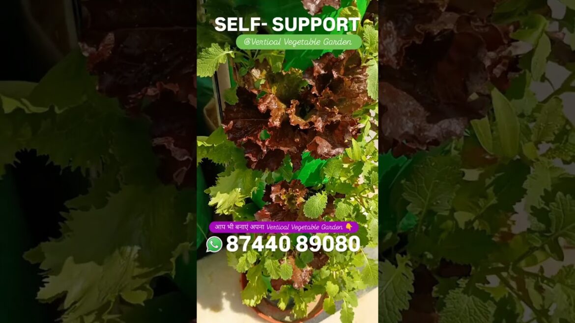 Self Support: Vertical Vegetable Garden with Veg Roof 5
