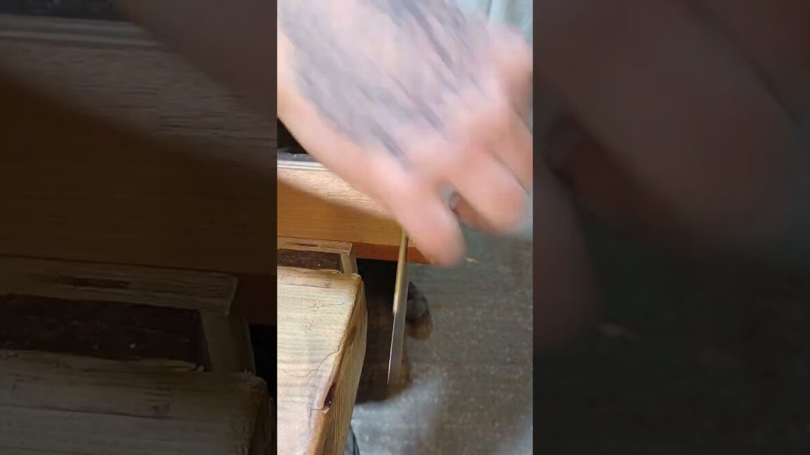 New pull saw test! #woodworking #pullsaw #japanese #cut #saw #wood #sharp #DIY #fyp #craft New pull saw test! #woodworking #pullsaw #japanese #cut #saw #wood #sharp #DIY #fyp #craft