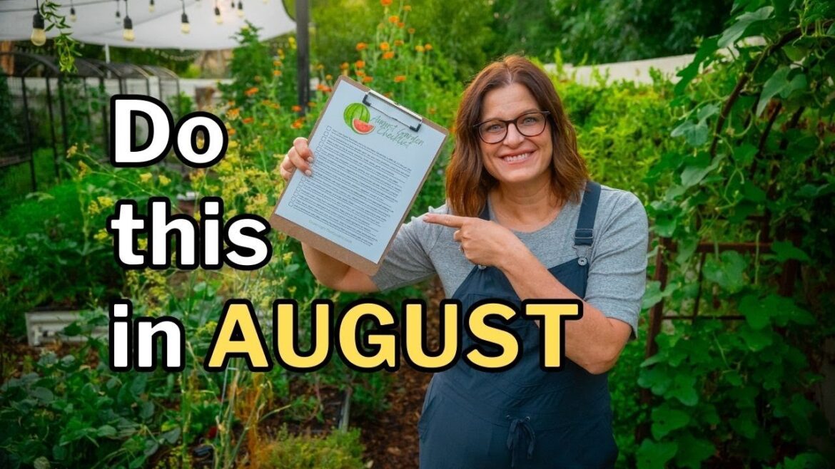 AUGUST GARDENING TIPS for Hot Climates AUGUST GARDENING TIPS for Hot Climates