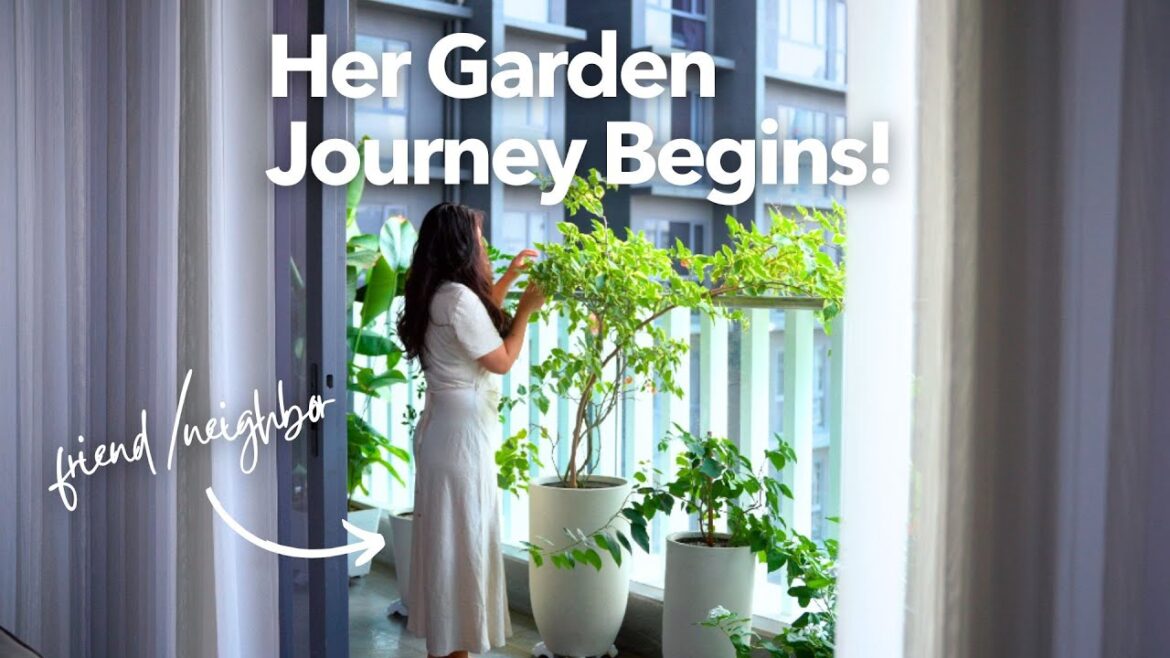 New Plant Parent, First Hurdles: Helping My Friend Create a Thriving Balcony Garden