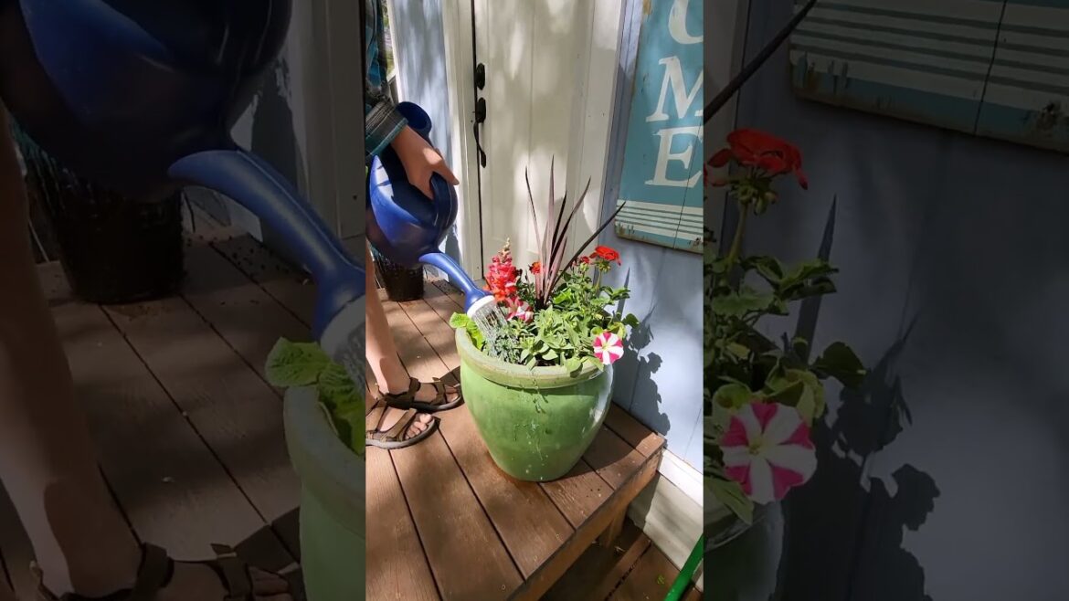 Next Generation Gardener! Next Generation Gardener!