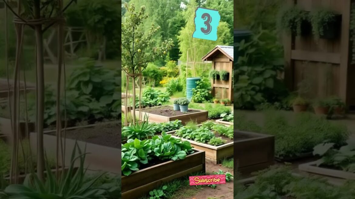 Can a Sustainable, Edible Garden Transform Your Outdoor Space? Can a Sustainable, Edible Garden Transform Your Outdoor Space?