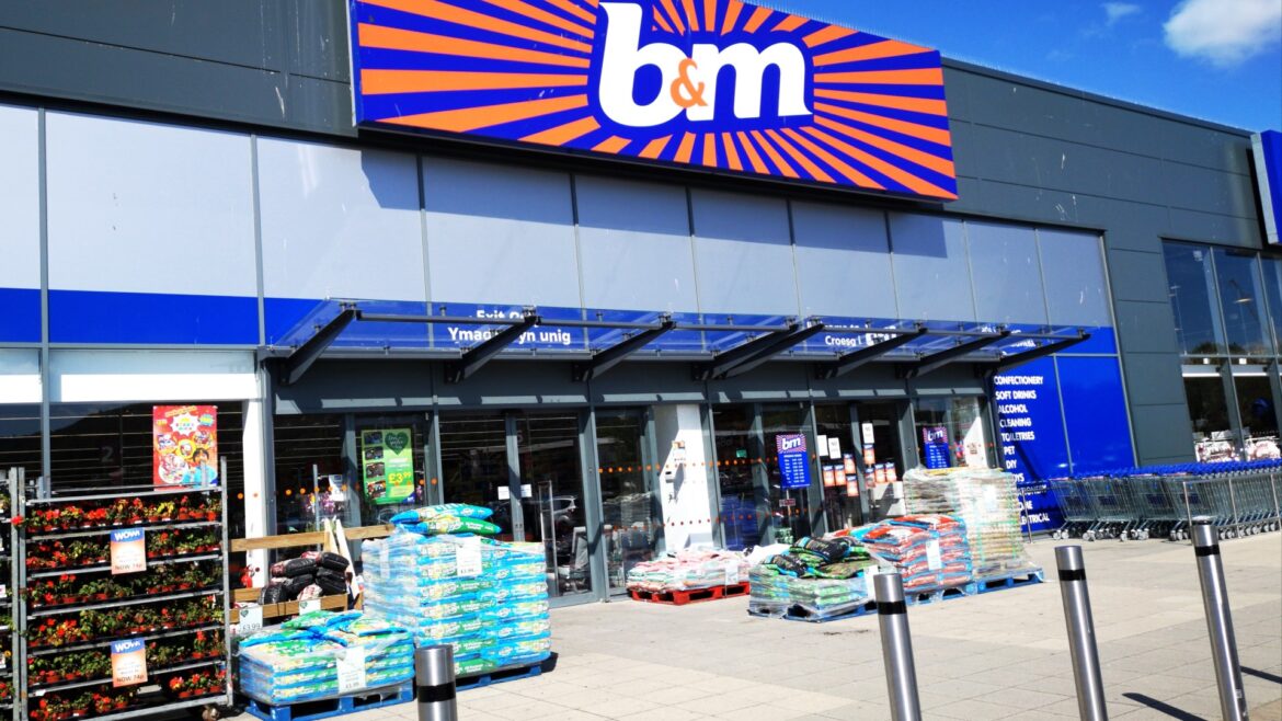 B&M is selling a stylish £10 buy that will add INCHES of privacy to any garden fence in time for summer