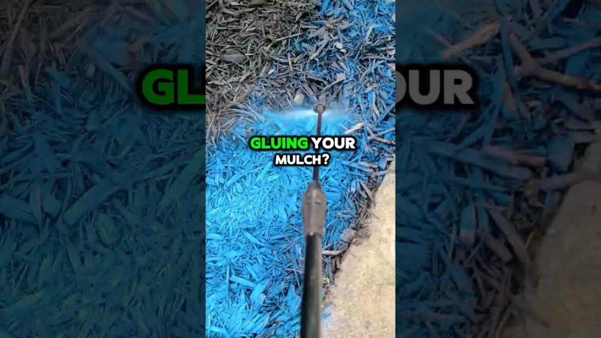 I Found The Best Way To Keep Mulch In Place - But Will It Work?!