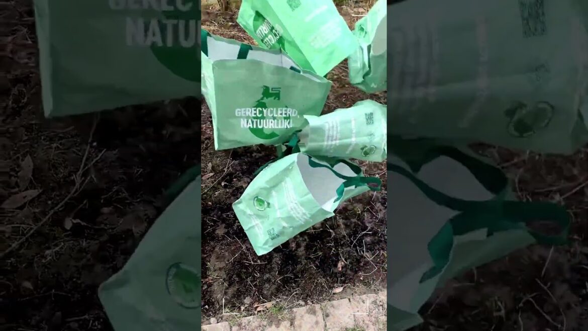 Part 3 of giving the front yard a makeover  #gardening #garden