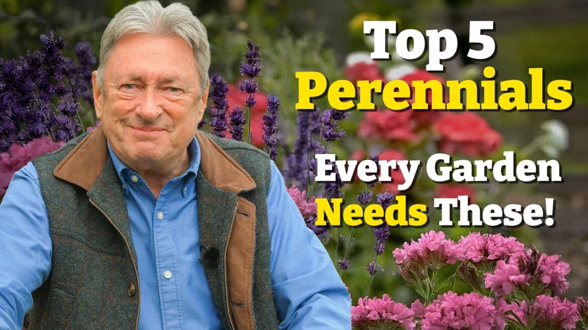 My 5 Must-Have Perennials (Perfect for Any Garden!)
