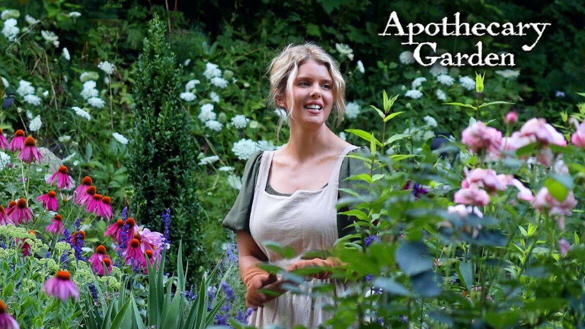 How to Design the Perfect Apothecary Garden: A Beginner's Guide to Medicinal Herbs & Herbalism