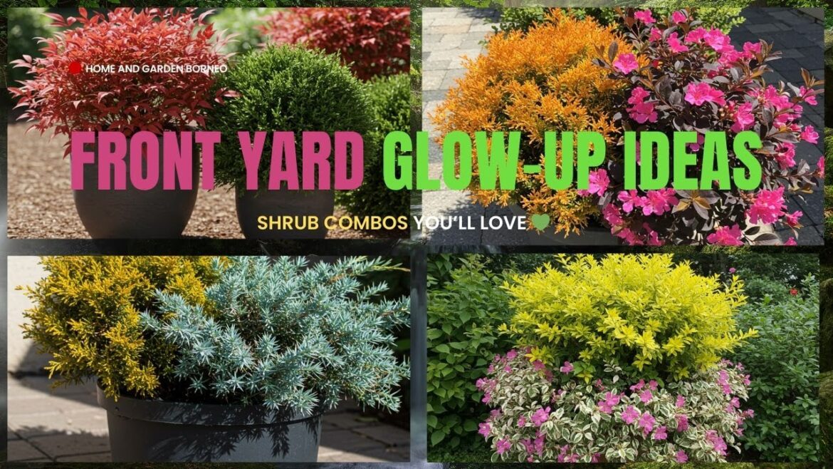 10 STUNNING Shrub Combos to Instantly Transform Your Front Yard ✨ 10 STUNNING Shrub Combos to Instantly Transform Your Front Yard ✨