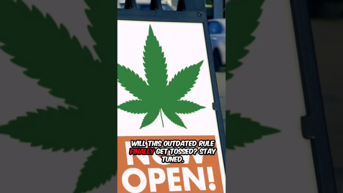 Is marijuana scheduled 1?#shorts #shortvideo ##youtubeshorts #short #youtube #shortsfeed #fyp#trend Is marijuana scheduled 1?#shorts #shortvideo ##youtubeshorts #short #youtube #shortsfeed #fyp#trend