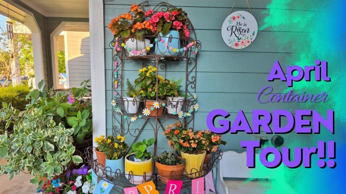 April ’25 Container Garden Tour! Enhance Your Small Spaces With Containers Full of Flowers! April '25 Container Garden Tour! Enhance Your Small Spaces With Containers Full of Flowers!