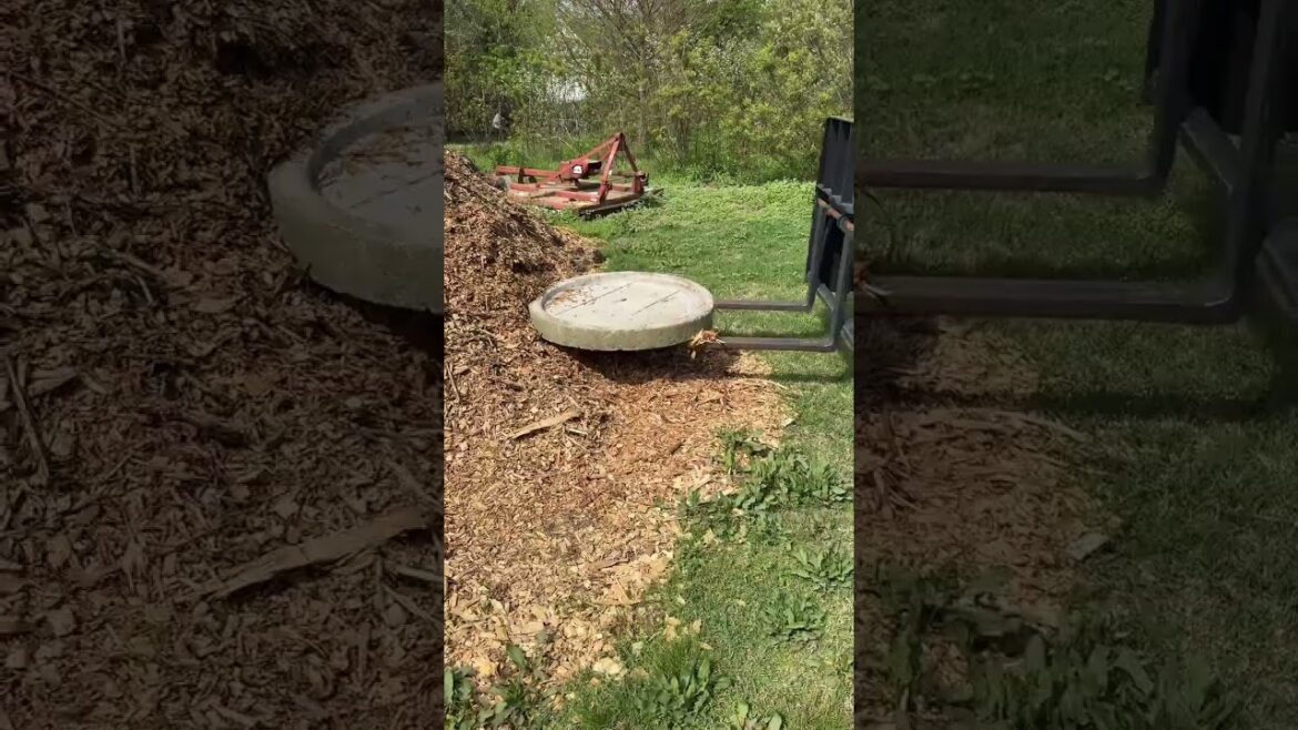 Saturday’s project: shade garden birdbath