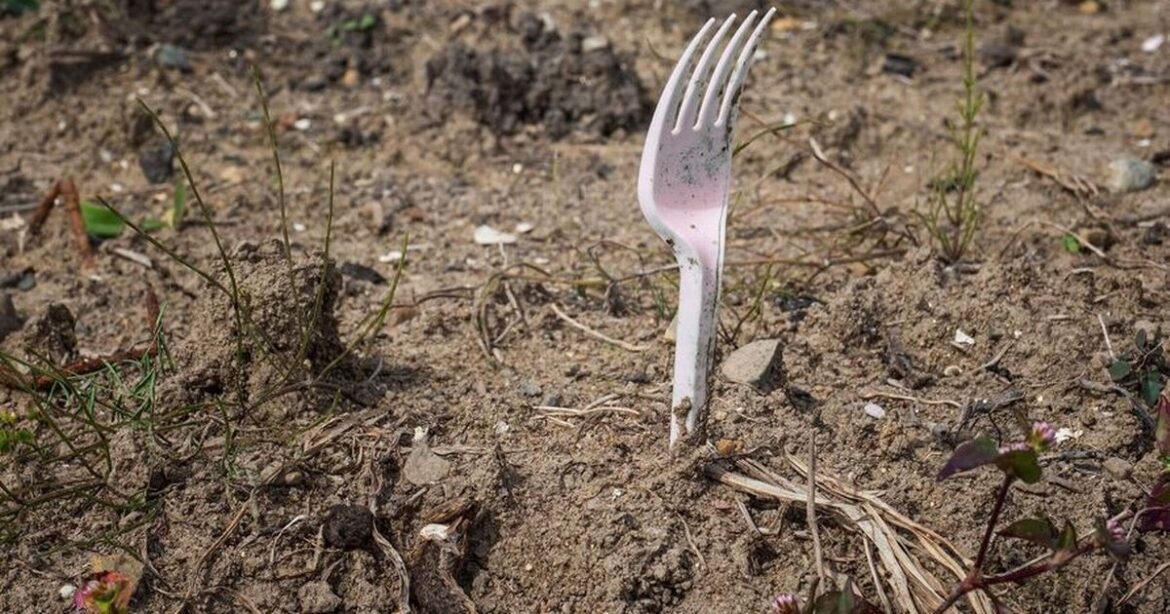 Gardeners should plant plastic forks around garden this spring Ipso logo