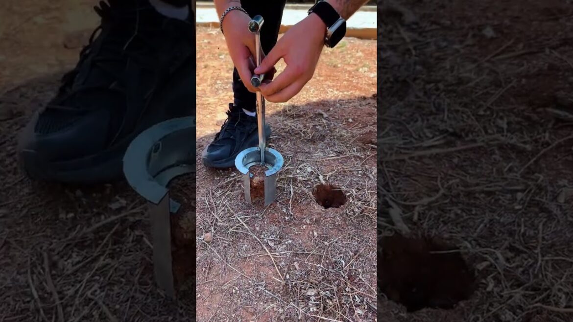 Is This Gadget Cool For Planting Plants? Not bad! 🌱 #plants