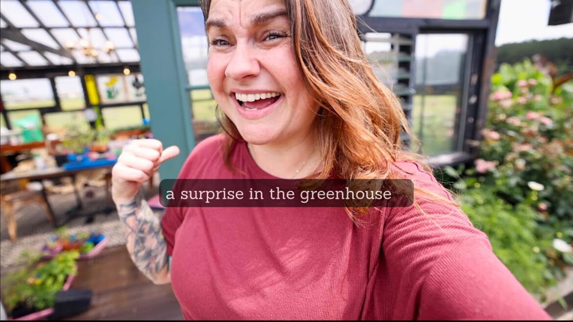 Roots and Refuge Farm: A FIRST for my greenhouse (and full harvest baskets) | VLOG A FIRST for my greenhouse (and full harvest baskets) | VLOG