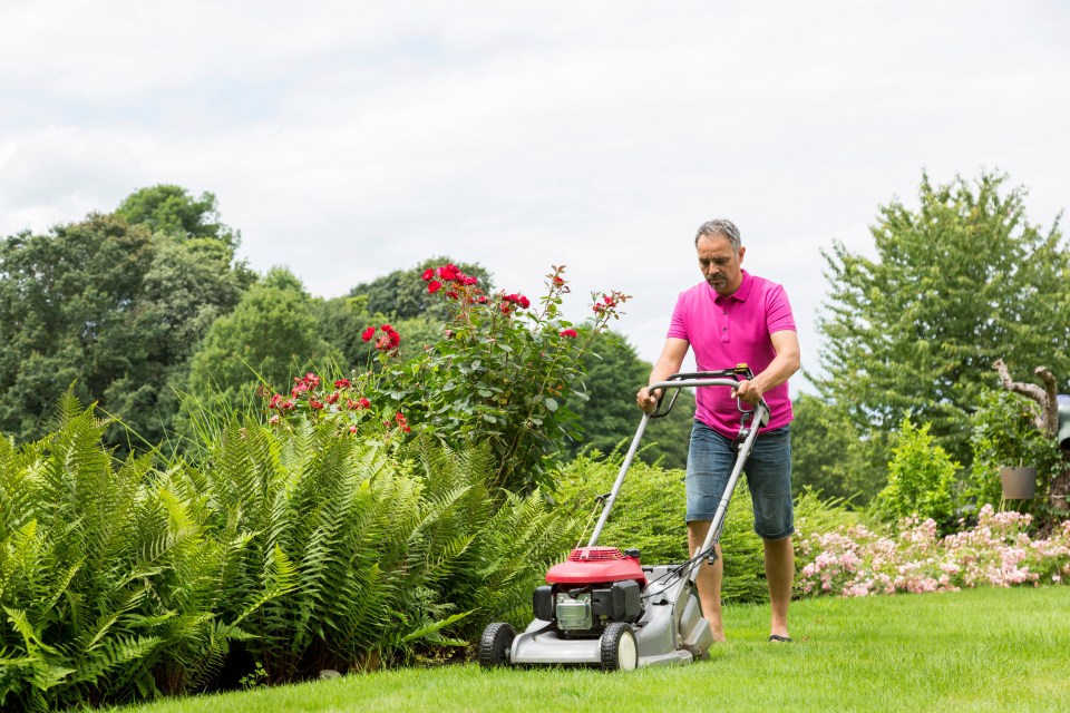 Man mowing lawn with a lawnmower.