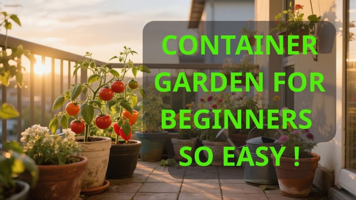 Container Gardening for Beginners 🌿 | How to Grow Potatoes, Cabbage, Peppers & More at Home