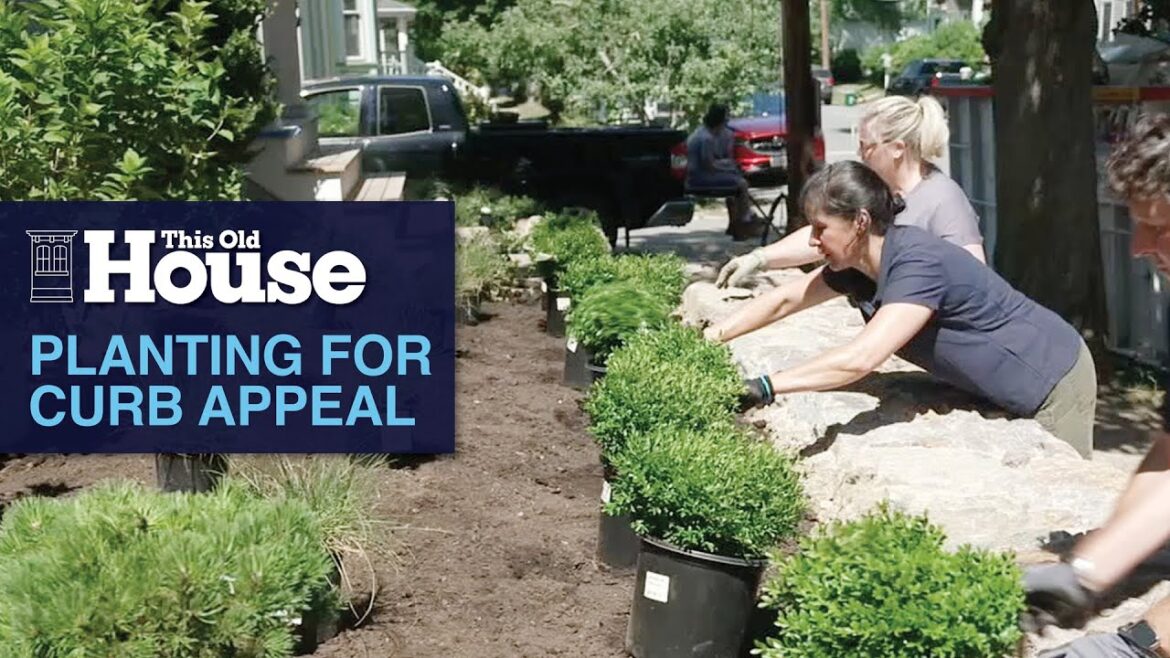 Planting for Curb Appeal | This Old House