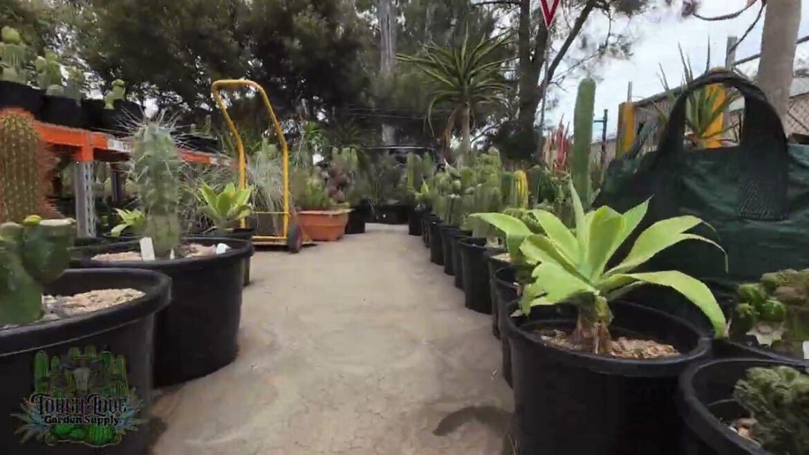 TOUGH LOVE GARDEN SUPPLY SHOP TOUR TOUGH LOVE GARDEN SUPPLY SHOP TOUR