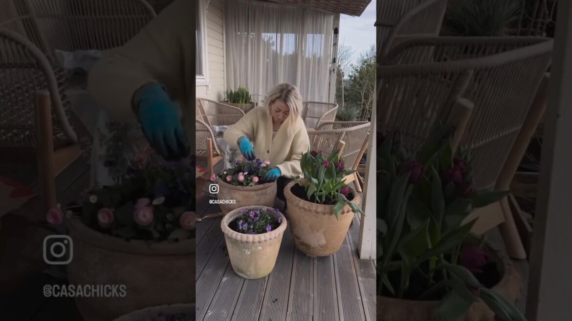 The Art of Home Styling: How to Bring Nature Into Your Home Decor! | re9e The Art of Home Styling: How to Bring Nature Into Your Home Decor! | re9e