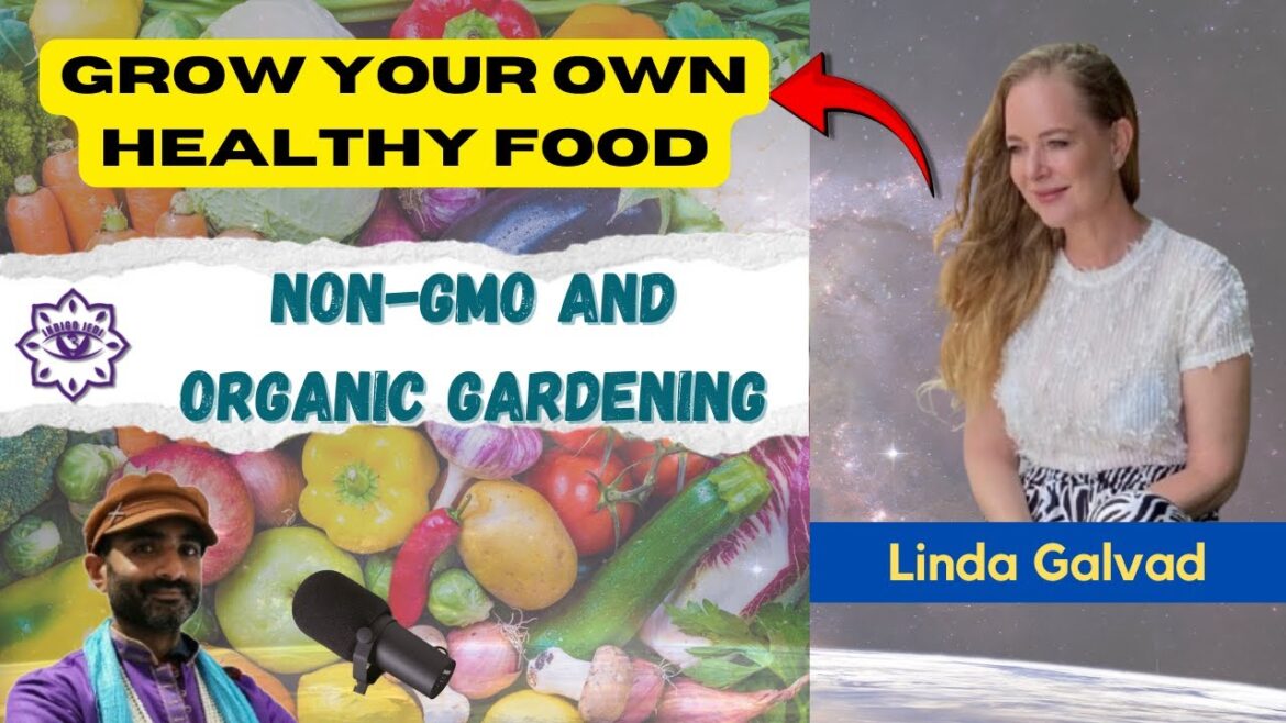 Organic vegetable gardening and gut health | Ancient Wisdom Episode 57 Organic vegetable gardening and gut health | Ancient Wisdom Episode 57