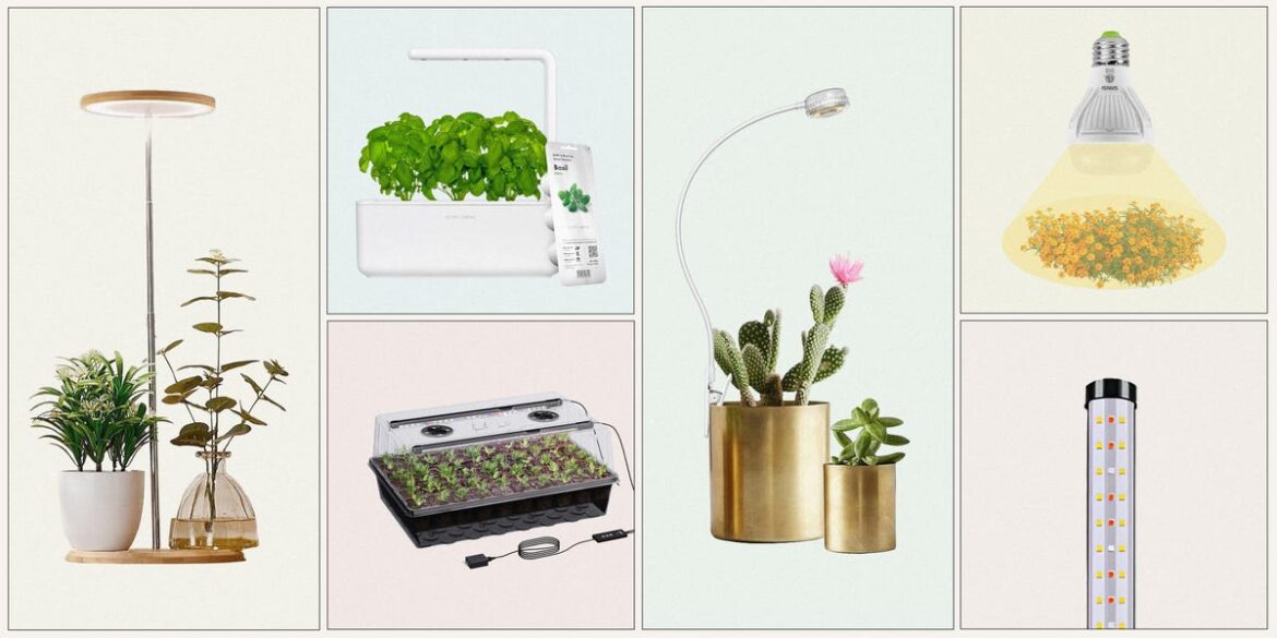 6 Best Grow Lights for Indoor Plants of 2025 6 Best Grow Lights for Indoor Plants of 2025
