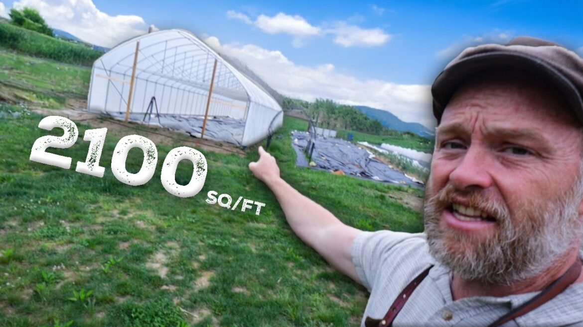 Setting Up Her 2100sq/ft Dream Garden Setting Up Her 2100sq/ft Dream Garden