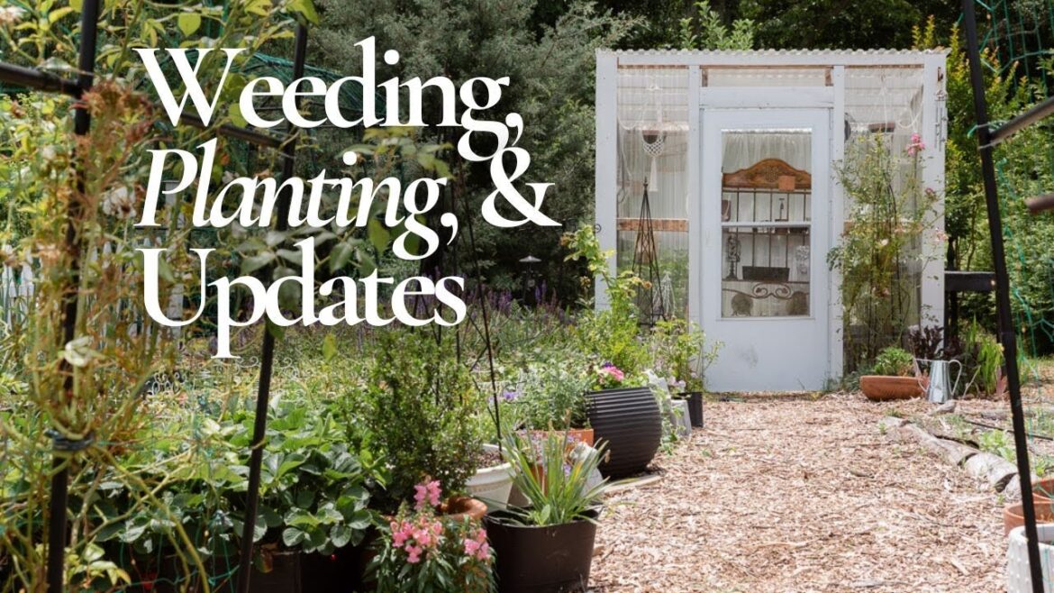 Peaceful Garden Tasks and a Kitchen Garden Walkthrough Peaceful Garden Tasks and a Kitchen Garden Walkthrough