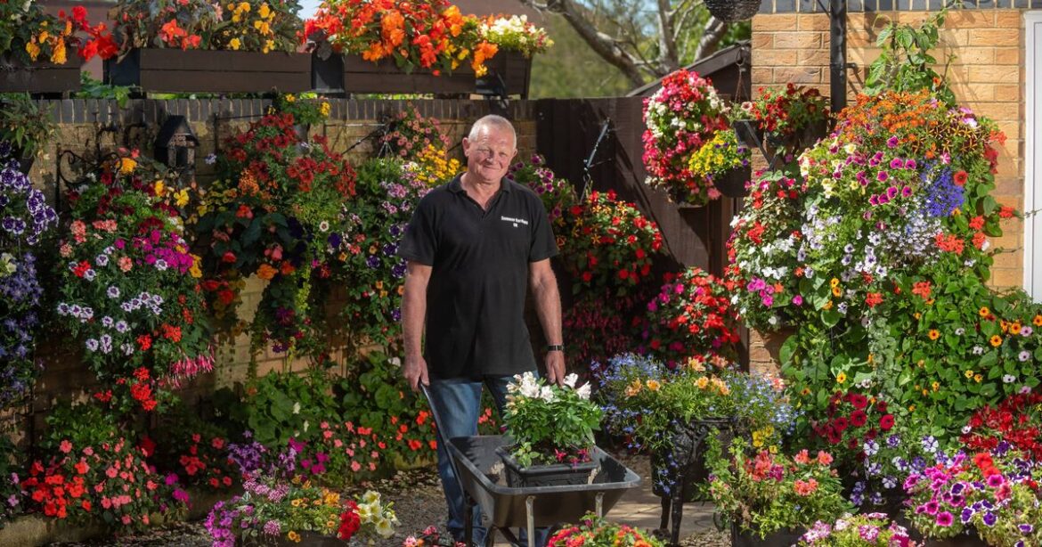 Bristol gardening expert’s top tip to keep plants alive ahead of blistering dry weekend Ipso logo