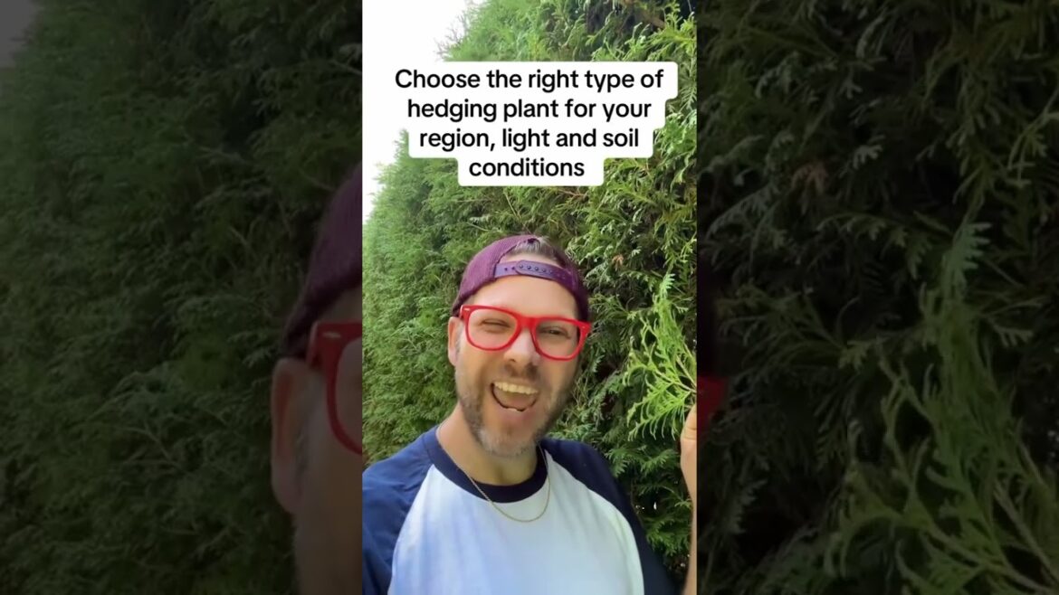 How to Build and Maintain a Healthy Hedge | Best Plants & Pruning Tips for All Seasons.