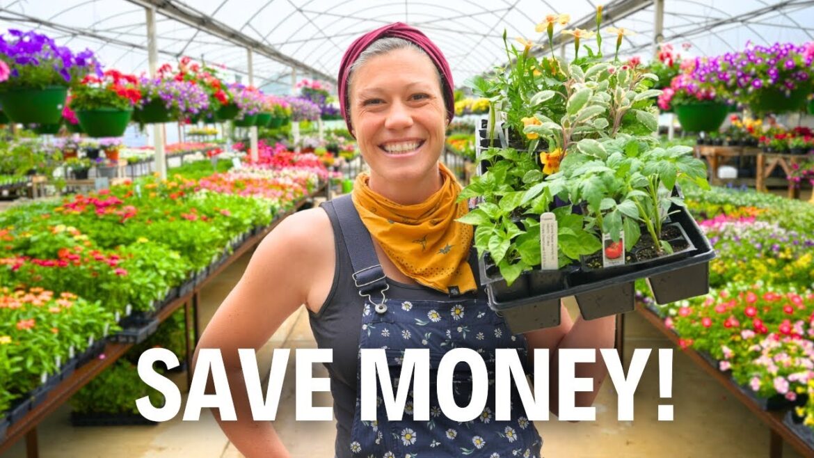 The Lazy Gardener’s Guide to Plant Shopping Like a Pro