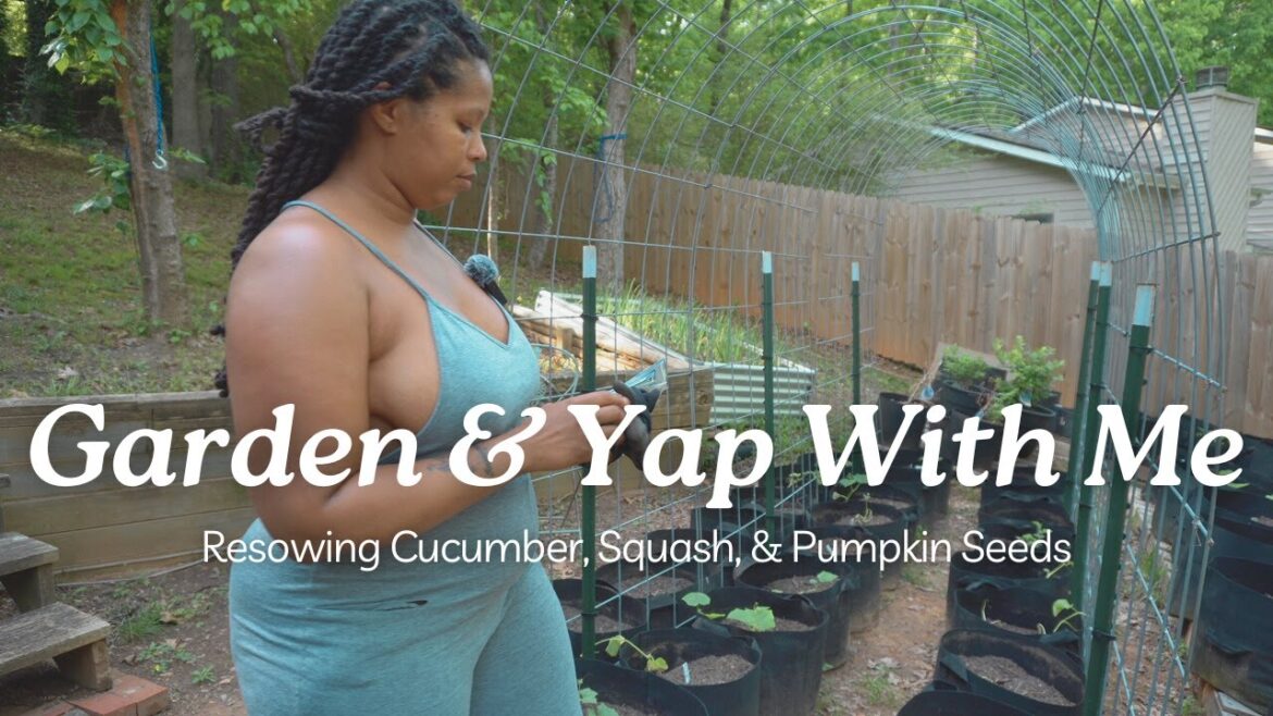 Garden Rescue: How to Successfully Direct Sow Seeds | Tips for Failed Transplants 🌱