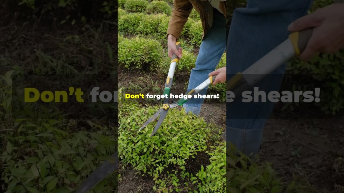 Must Have Pruning Tools for Every Gardener