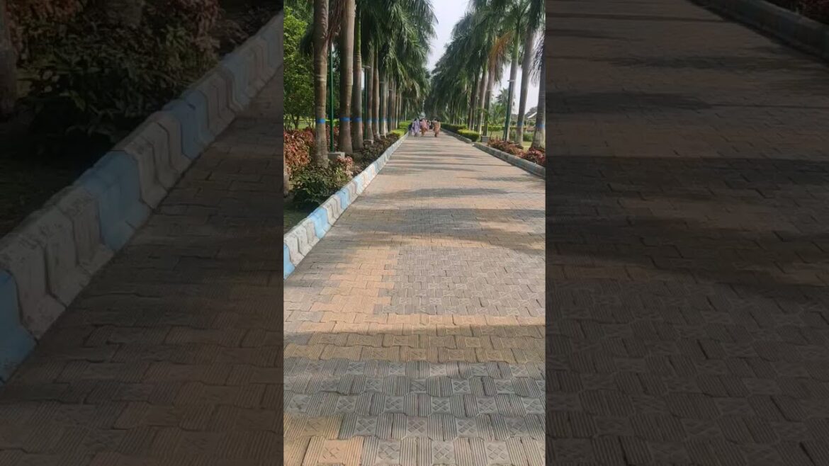 jrurat se jyada umeed jrurat se jayda dukh detih ।#shortsvideo #”A Visit to the Garden” 2025 jrurat se jyada umeed jrurat se jayda dukh detih ।#shortsvideo #"A Visit to the Garden" 2025