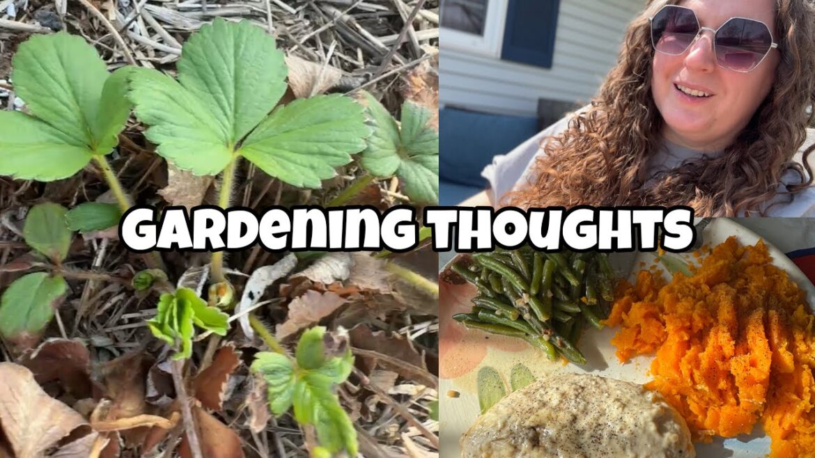 homemaker vlog: my garden plans
