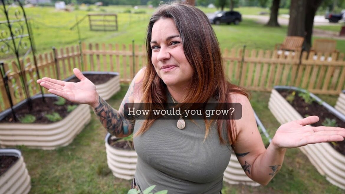 Roots and Refuge Farm: If this were my only garden (what would you do?) | VLOG If this were my only garden (what would you do?) | VLOG