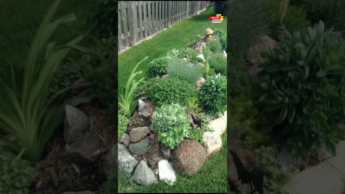 Beautiful! Rock Garden Design Ideas #ytshorts #fyp #rock #garden #rockgarden