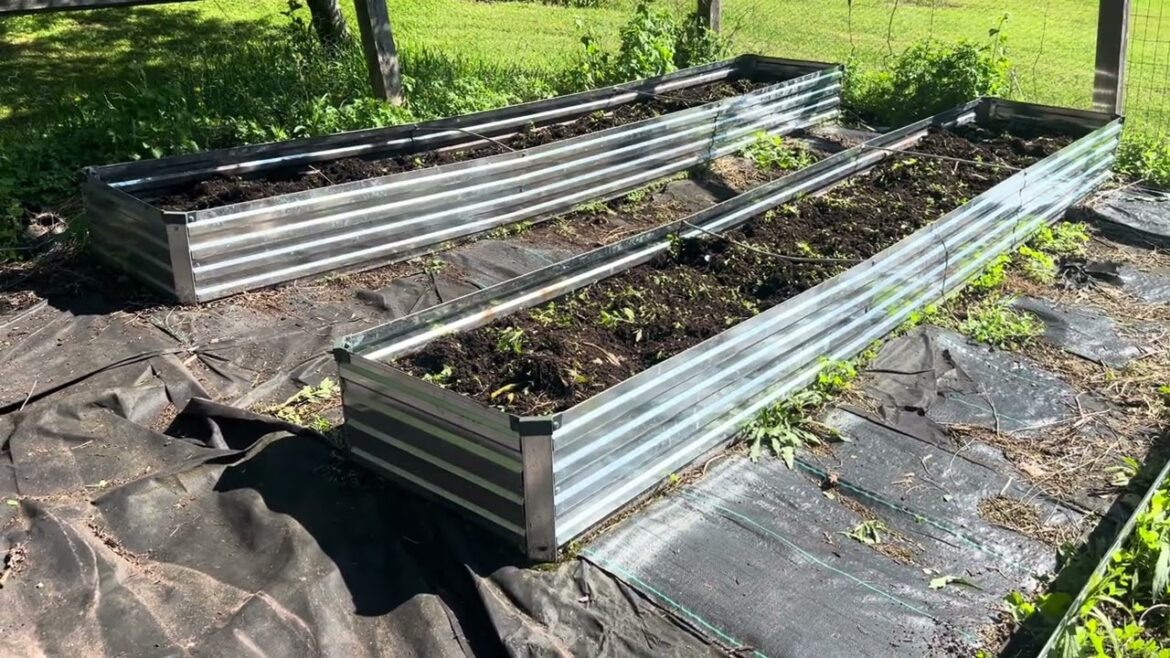 Outdoor Container Garden Raised Bed Review #amazonaffiliate Outdoor Container Garden Raised Bed Review #amazonaffiliate