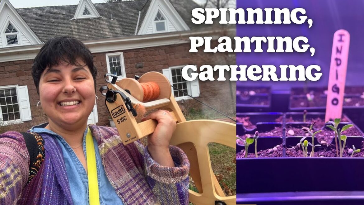 What I’ve Been Up To: Natural Dye Garden Plans & Other Creative Adventures (March Artist Vlog) What I’ve Been Up To: Natural Dye Garden Plans & Other Creative Adventures (March Artist Vlog)